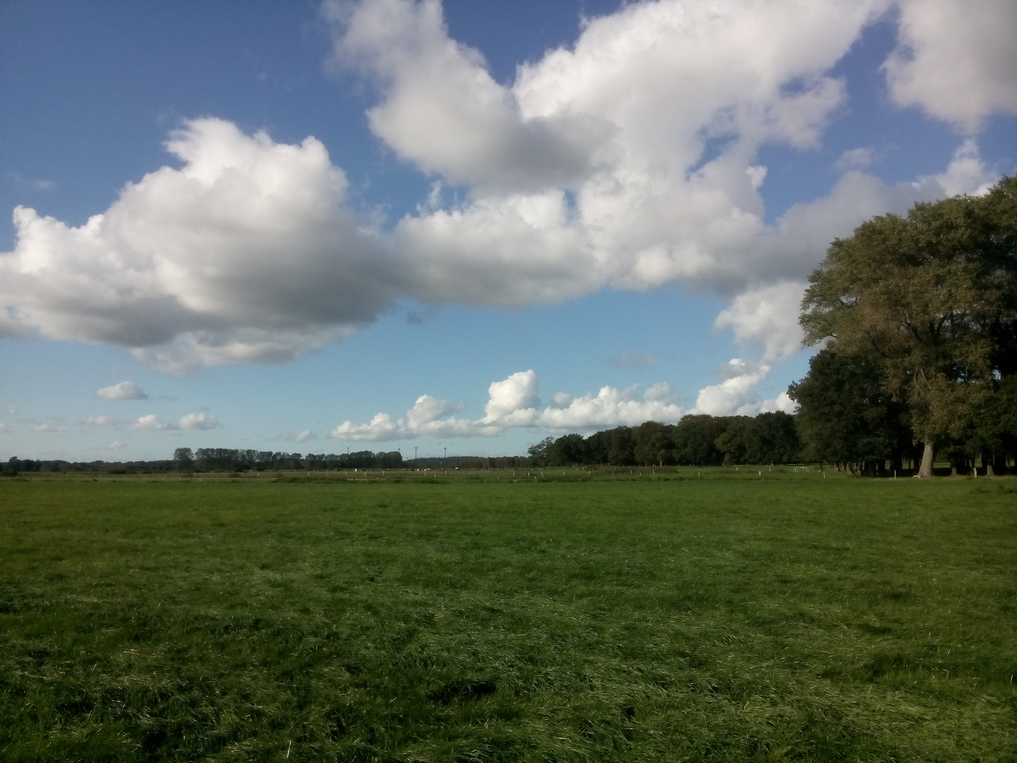 Wetter zu Flugzeit
